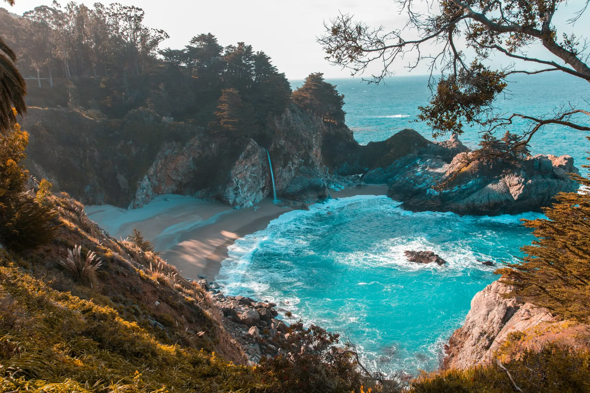 Crique aux eaux turquoise cernée de pins et de falaises